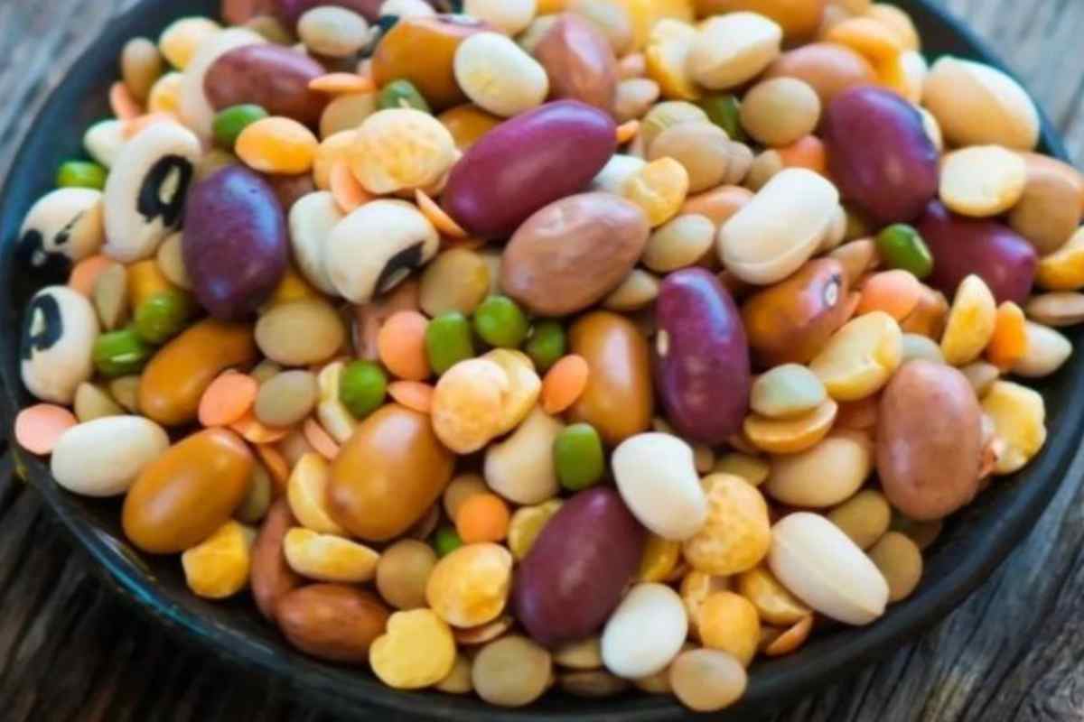 legume